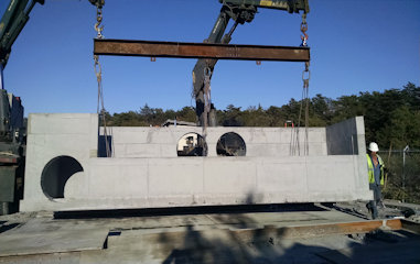 Project